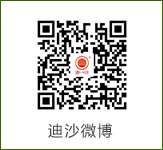 迪沙微信公众号