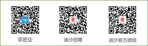 迪沙微信公众号